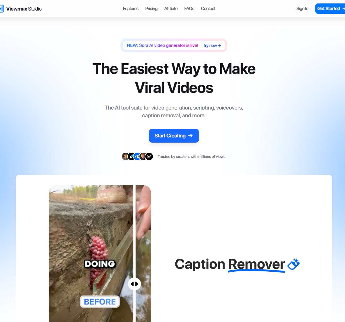 Official Viewmax homepage screenshot showing the hero section and product preview